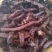 牛肉干黄牛肉鲜肉