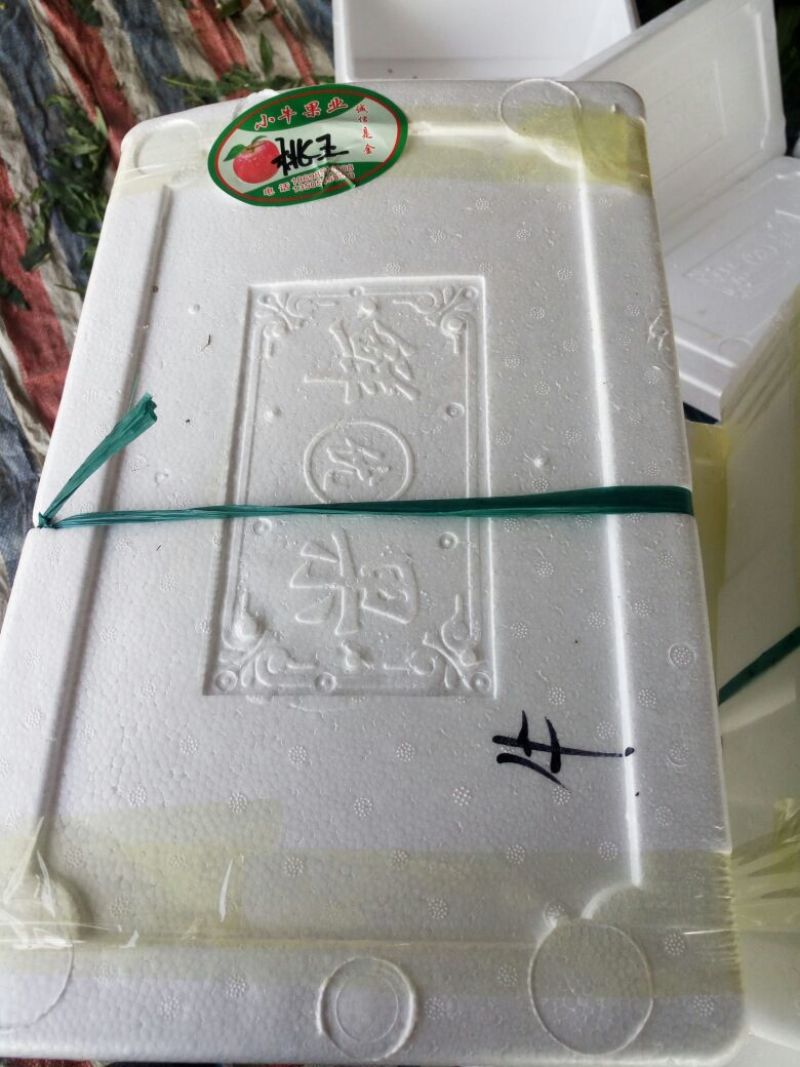 山东油桃产地规格3量起步品种126.中油5等