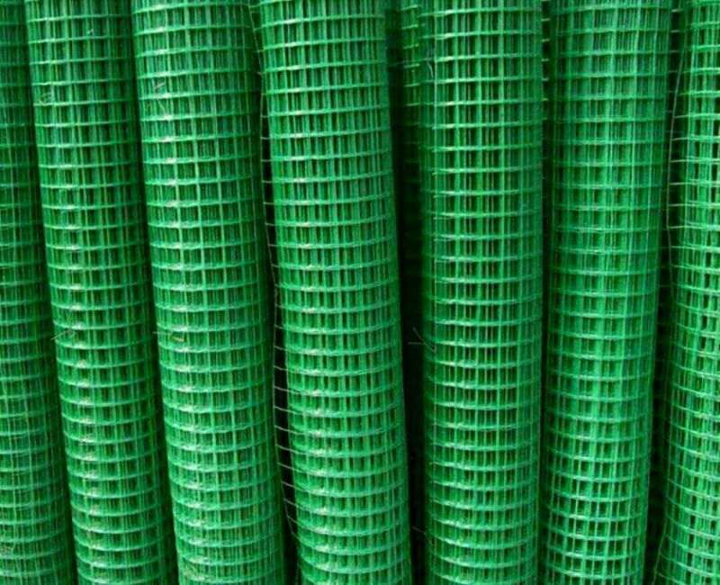 金叶榆12~14cm8~10cm3~3.5m