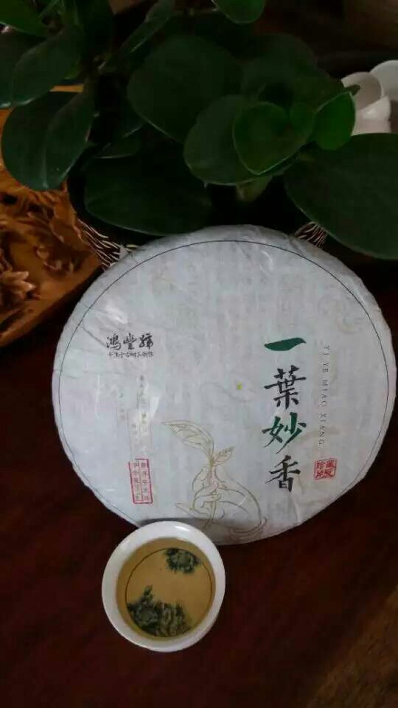 百年大树茶