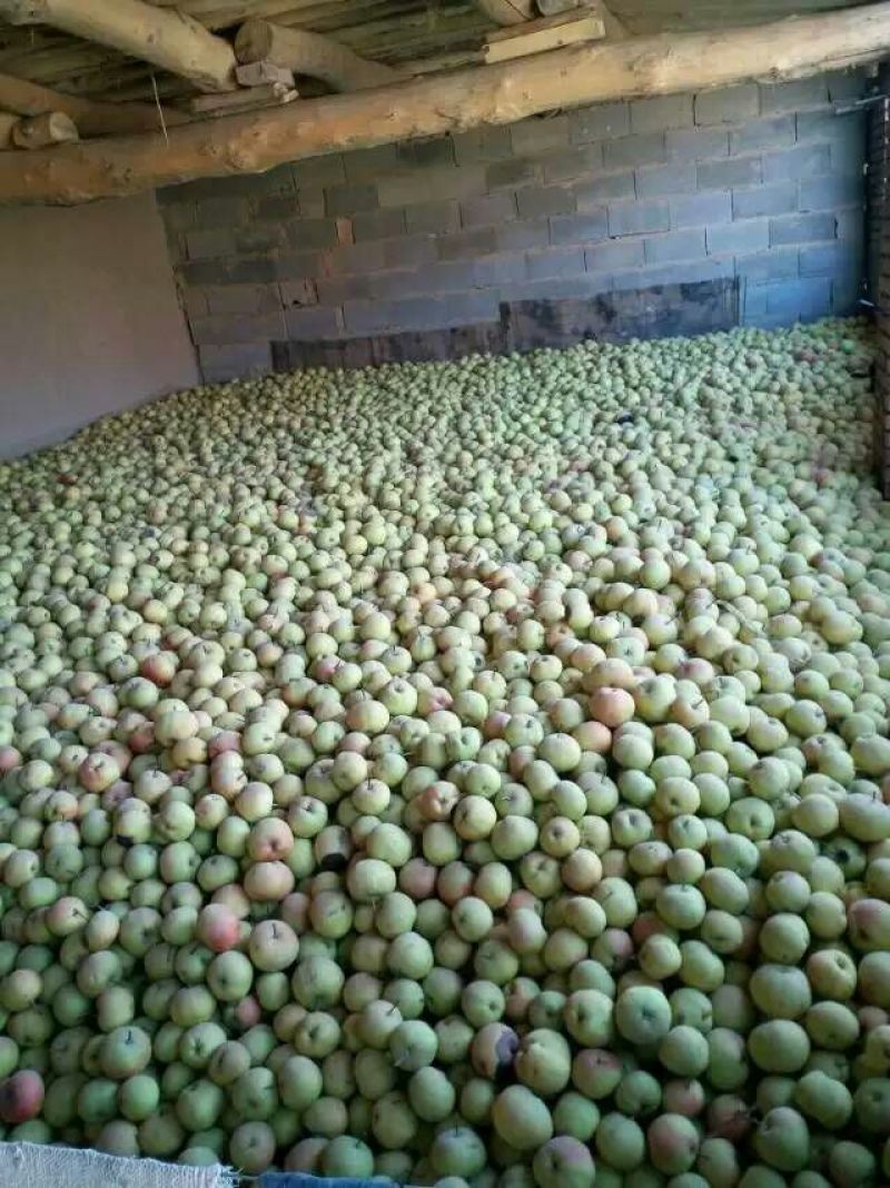 苹果梨150~200g光果