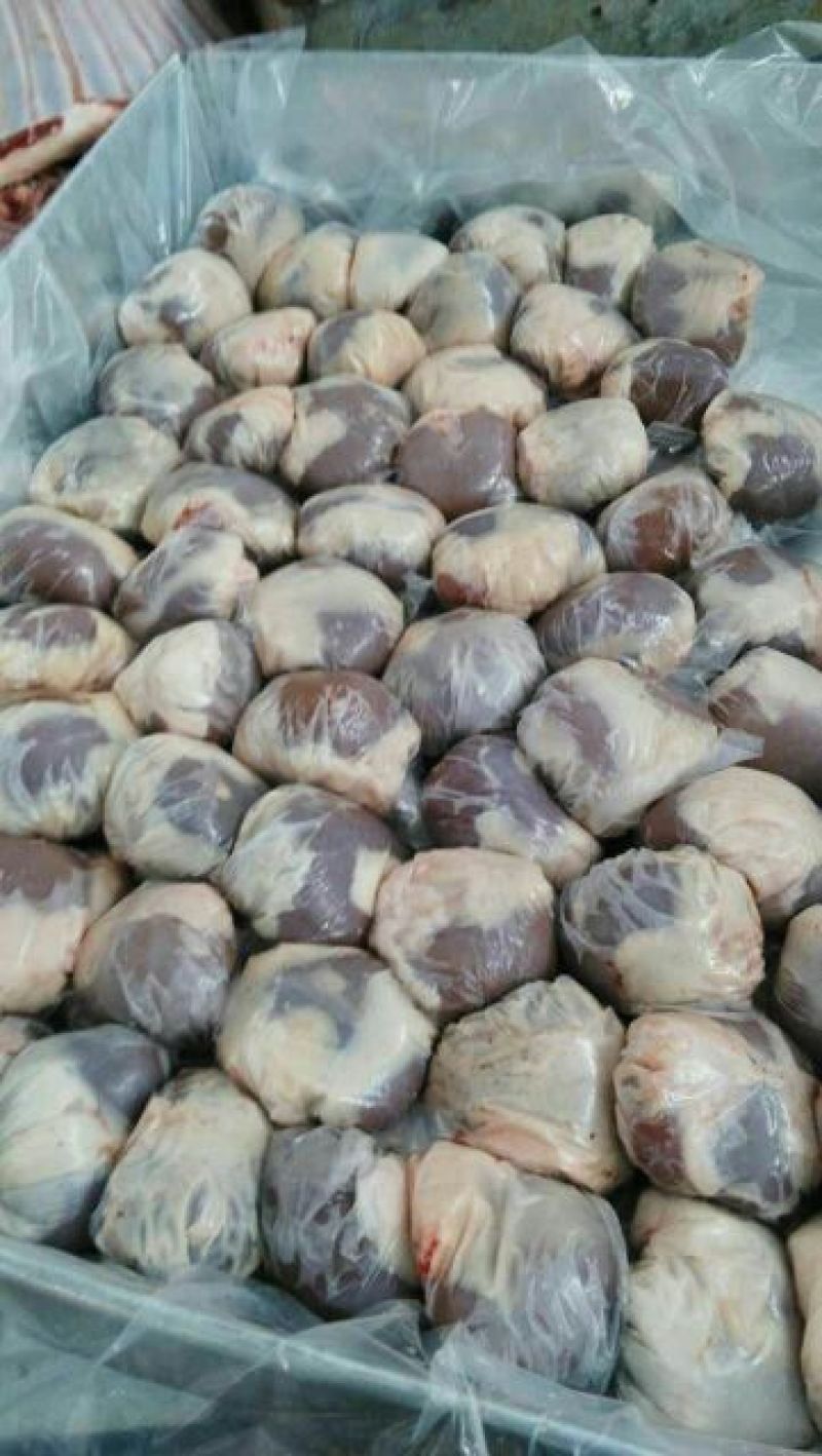 羊肉是绵羊肉