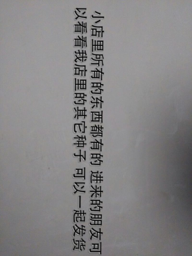 益母草