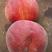 小红桃红不软春蜜毛桃产地直供精品按需分拣包装