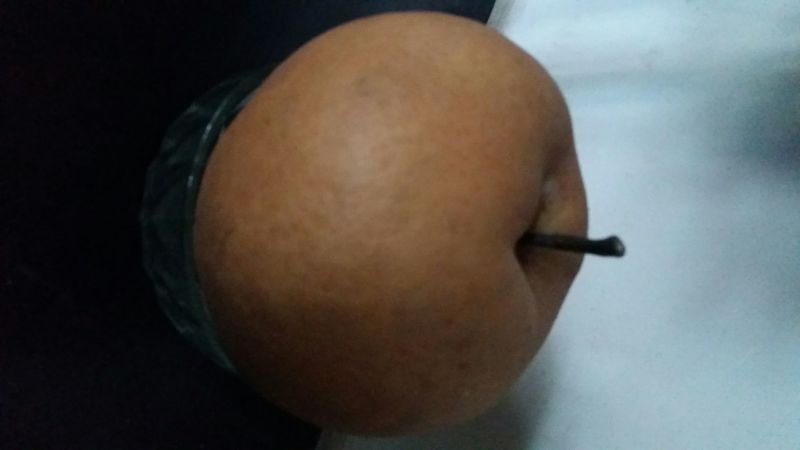 晚秋黄梨250~300g纸袋