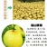 砀山梨250~300g纸箱