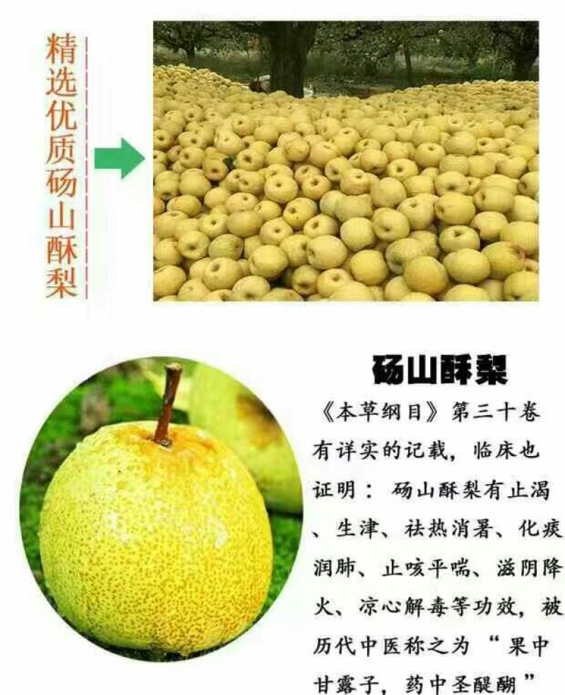 砀山梨250~300g纸箱