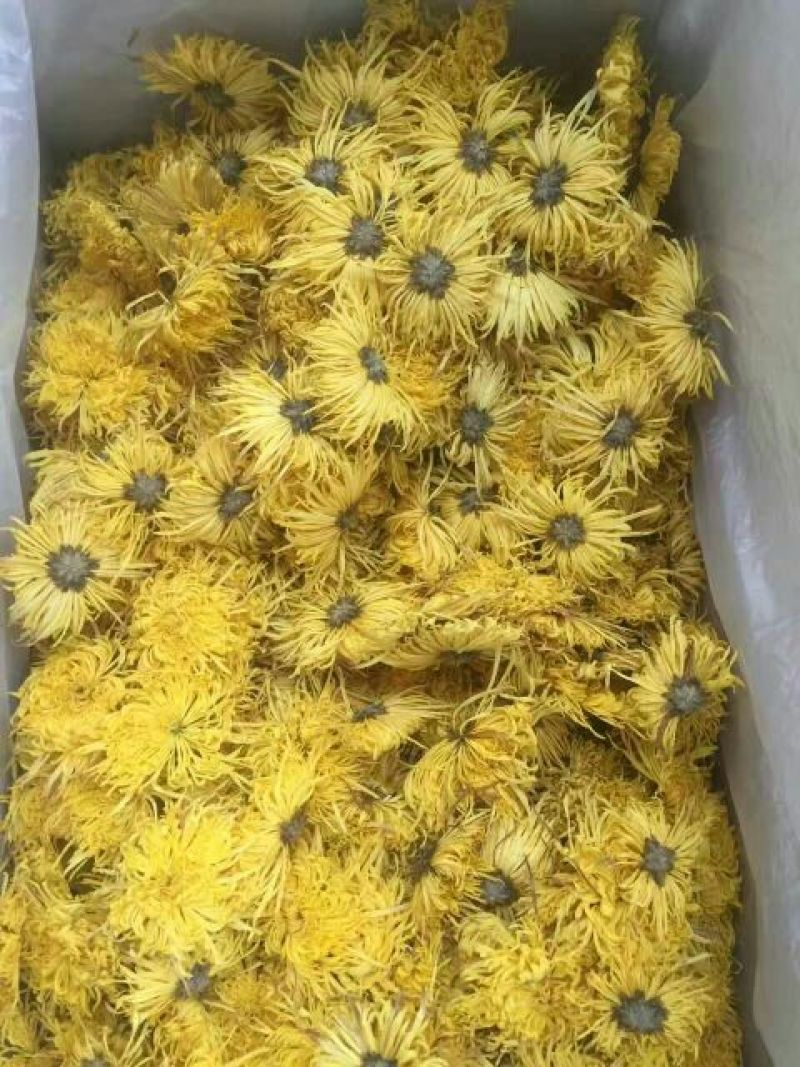 菊花茶
