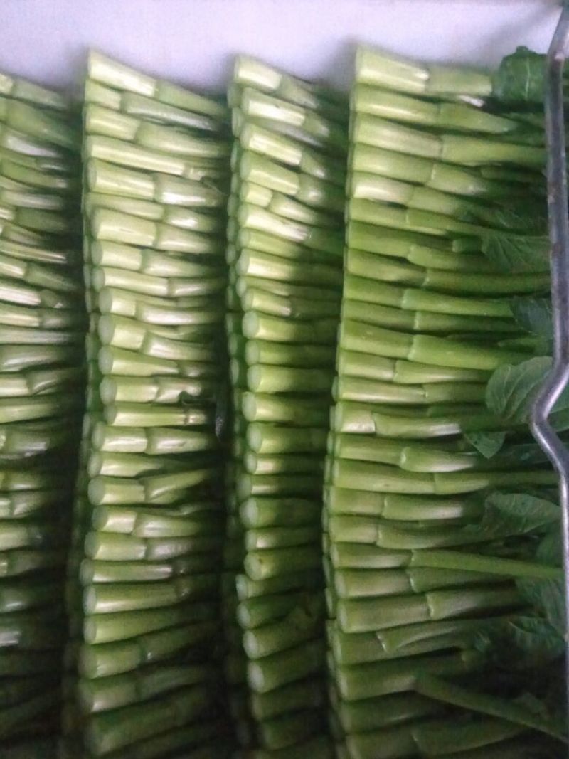 菜苔10~15厘米