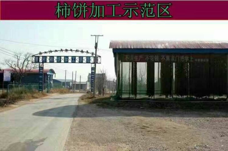 柿饼1~2两