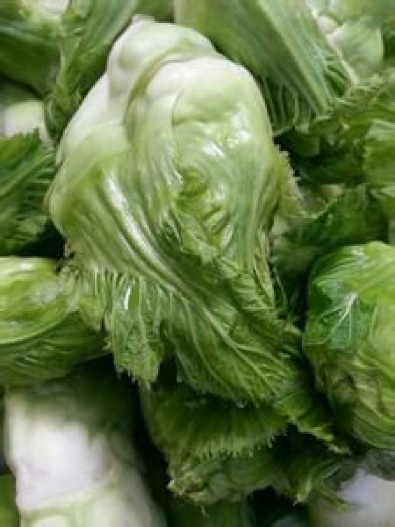 儿菜3两以上