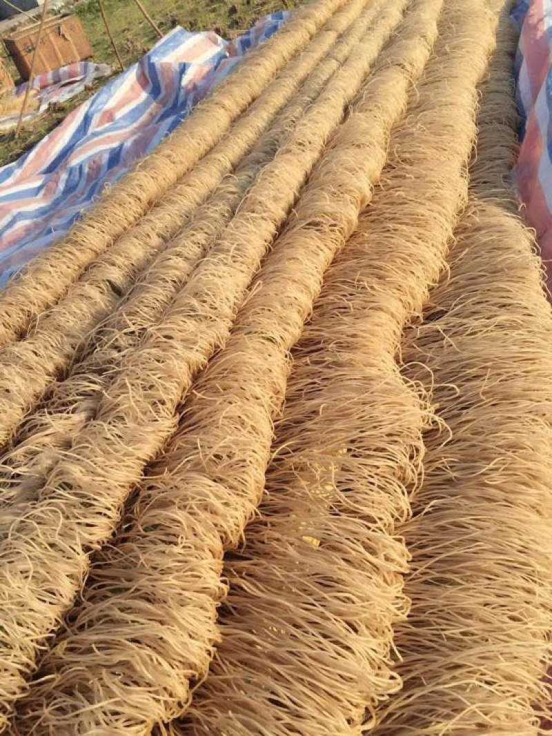 红薯粉丝