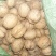 香玲核桃30mm以上去皮干
