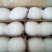 皇冠梨300~350g纸袋