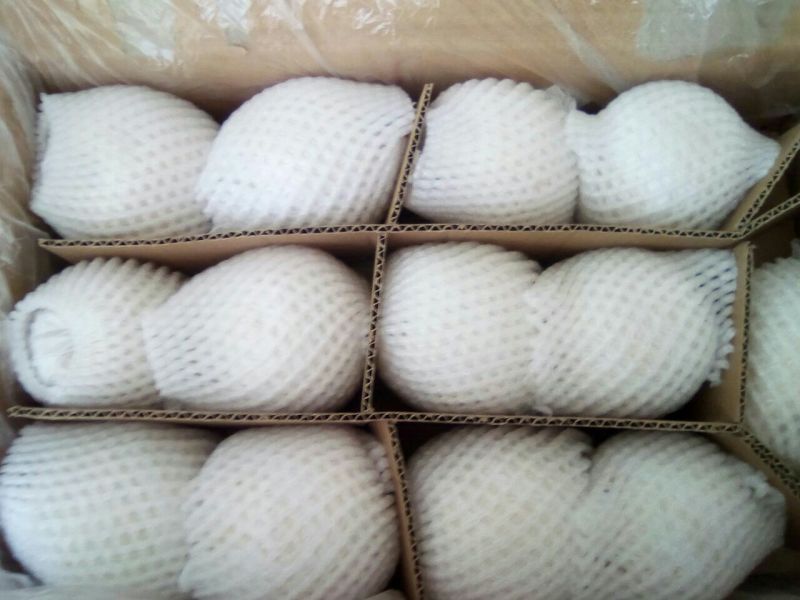 皇冠梨300~350g纸袋