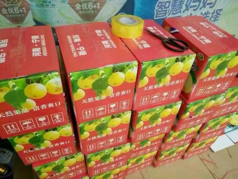 酥梨600g以上纸箱