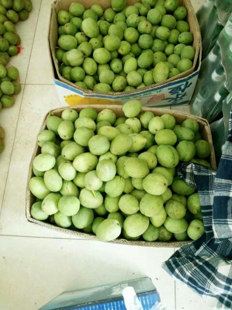青皮核桃青皮