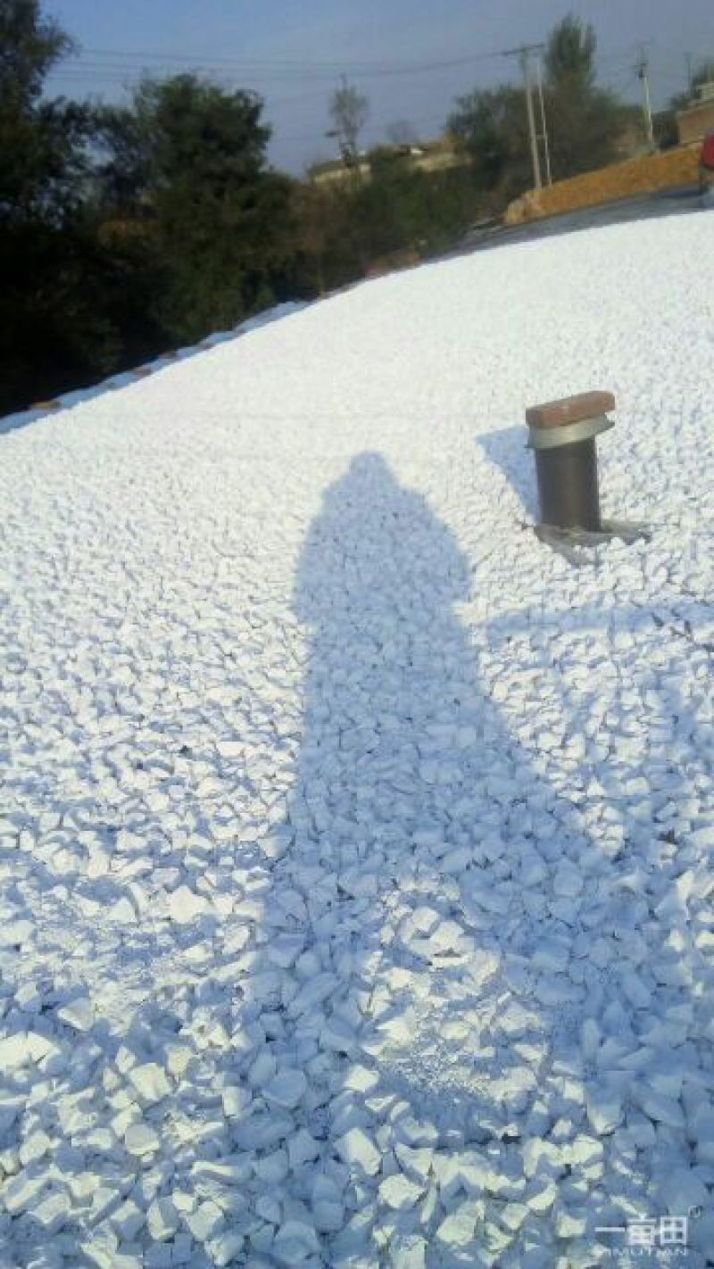 红薯淀粉散装