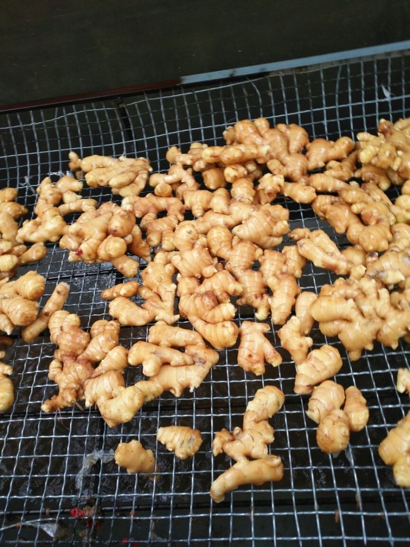 生姜2两以上水洗
