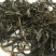 古树普洱茶一级