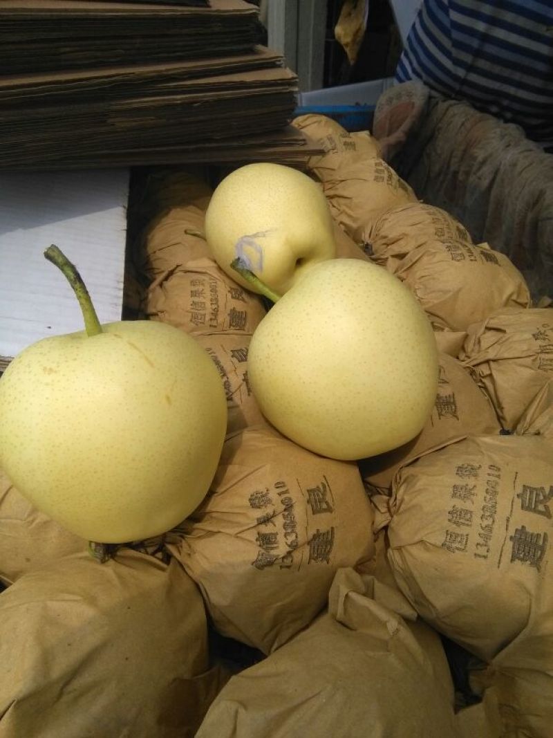 皇冠梨400~450g纸箱