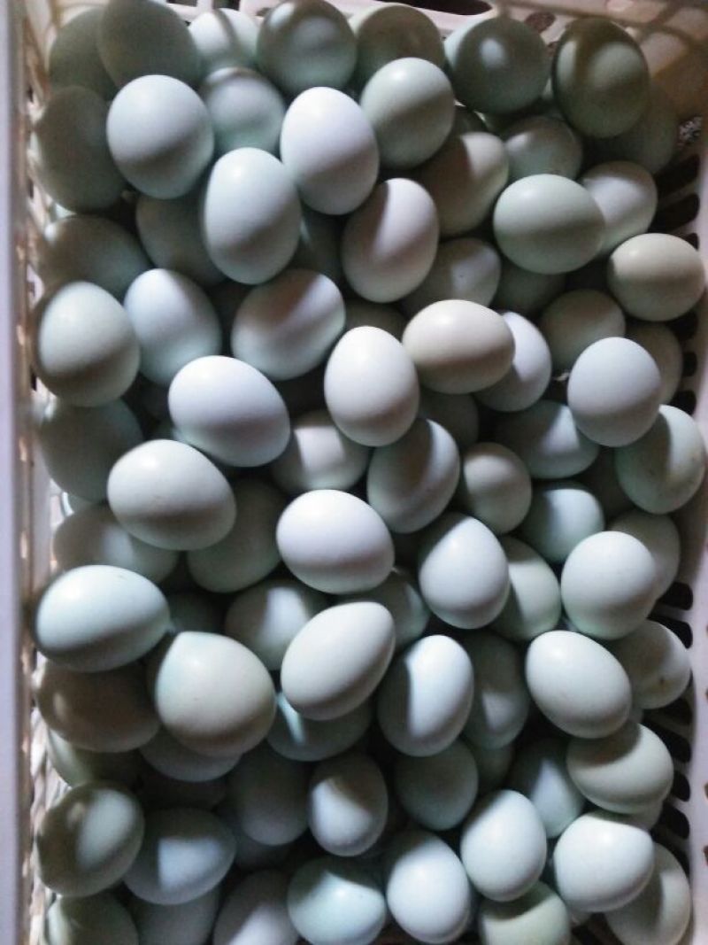 绿壳鸡蛋食用50g以下