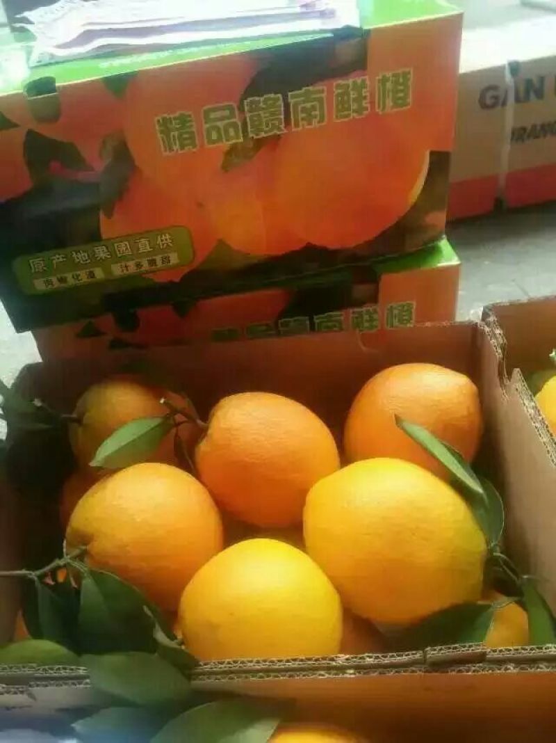 赣南脐橙