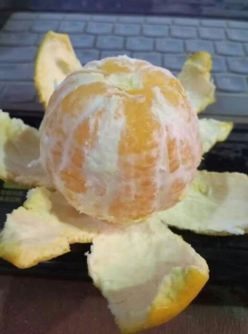 冰糖橙橙