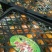新余蜜桔味甜肉嫩、现摘现发，货源充足，汁多化渣，含糖量高。