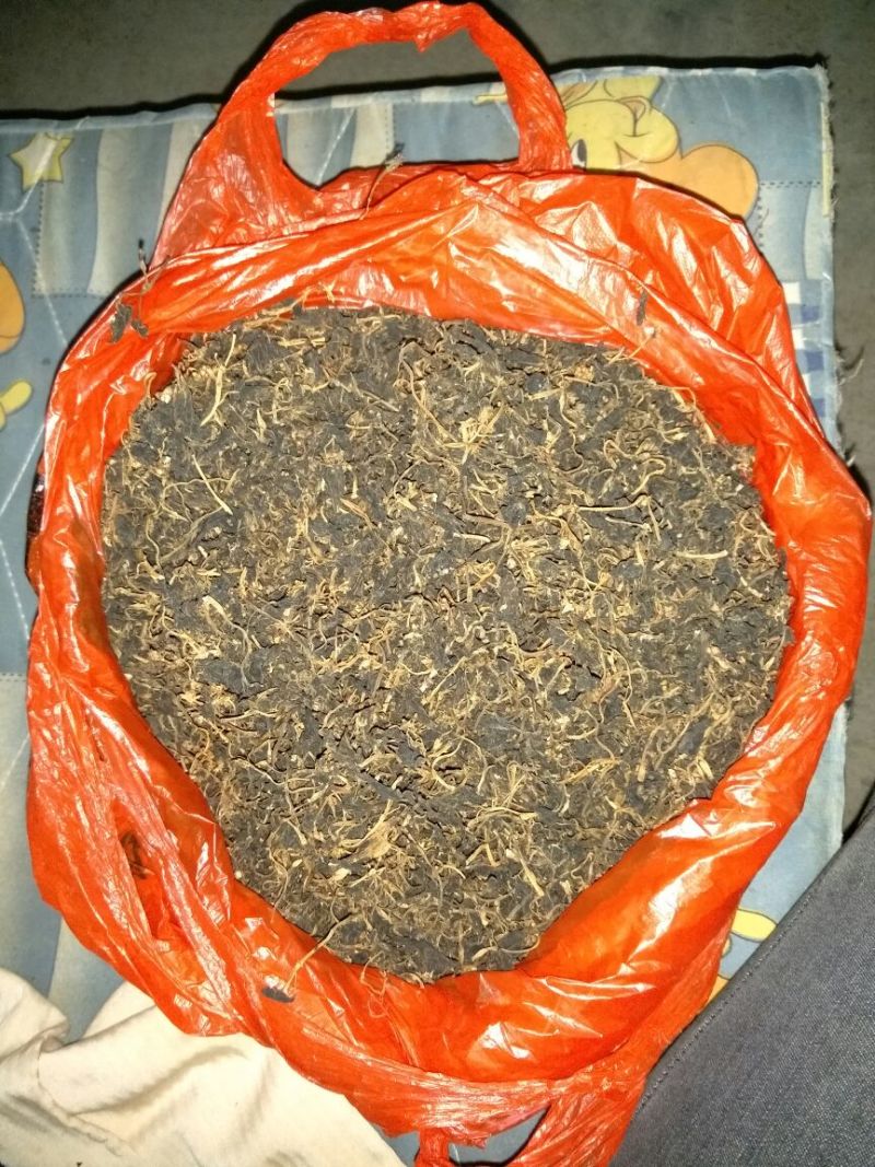 树仔菜