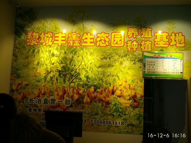 土鸡蛋食用50g以下