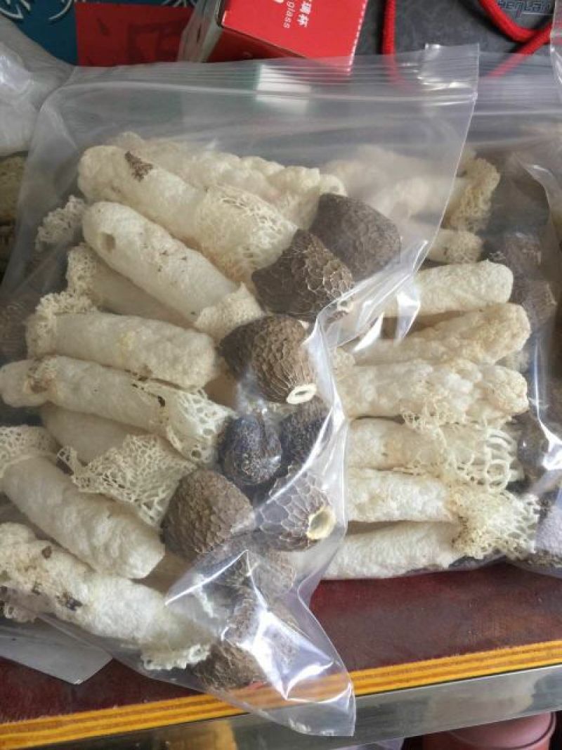 干竹荪一级