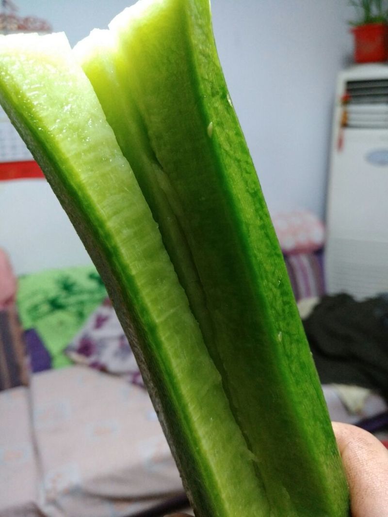 潍县萝卜1~1.5斤起