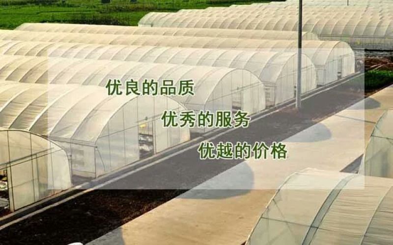 温室大棚连栋温室建造，设计规划及农产品种植技术。
