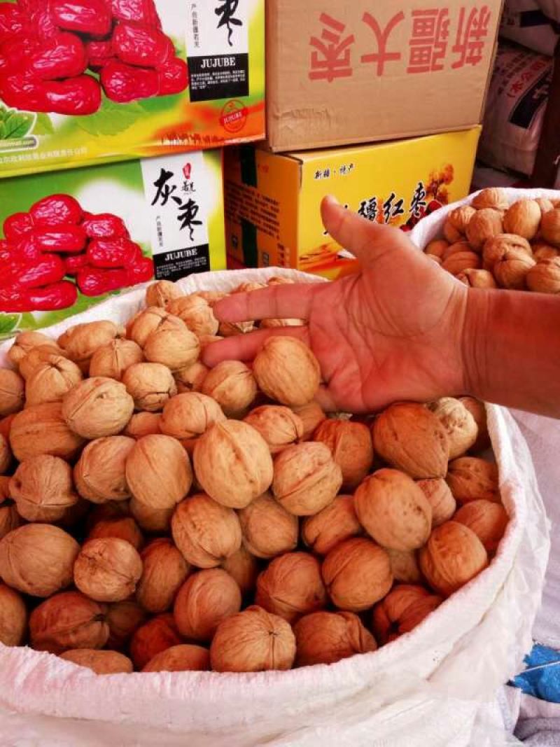 纸皮核桃去皮
