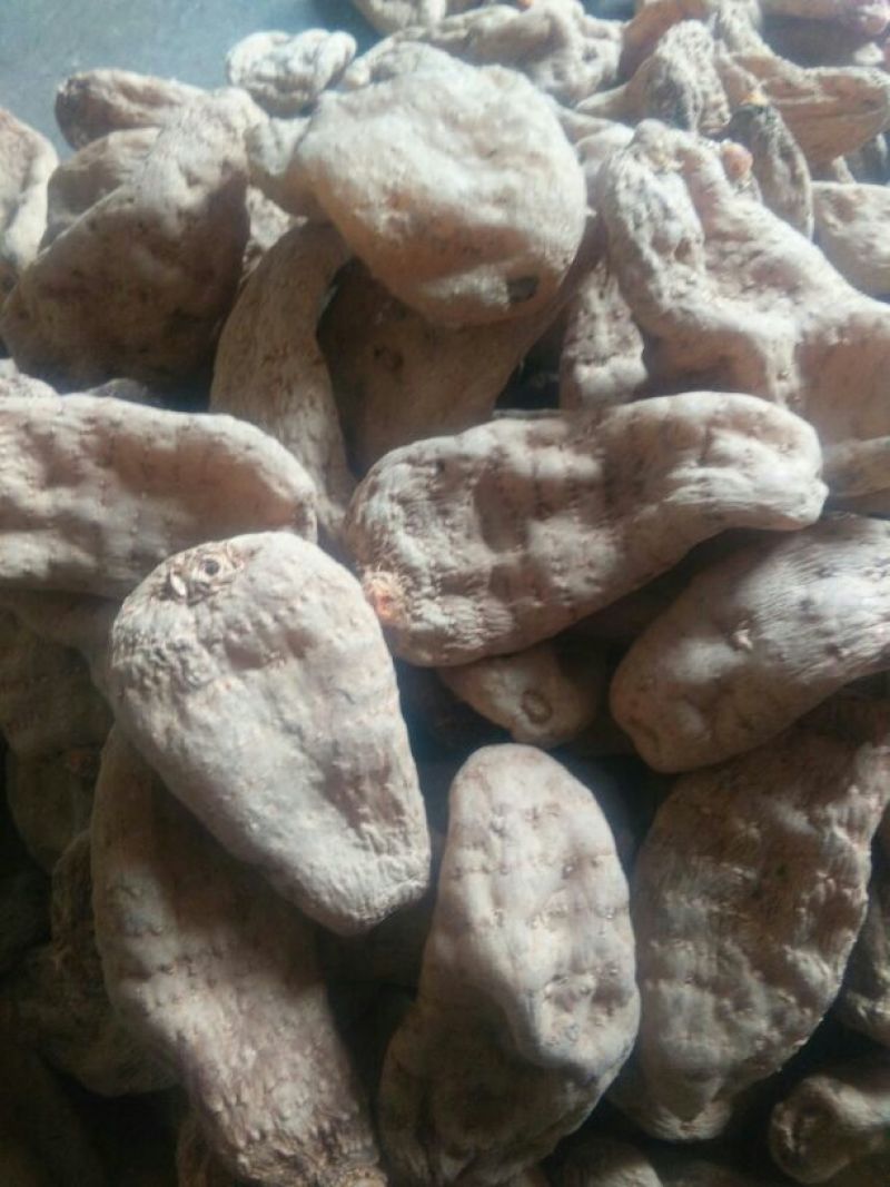 天麻特级