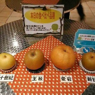梨250~300g纸箱