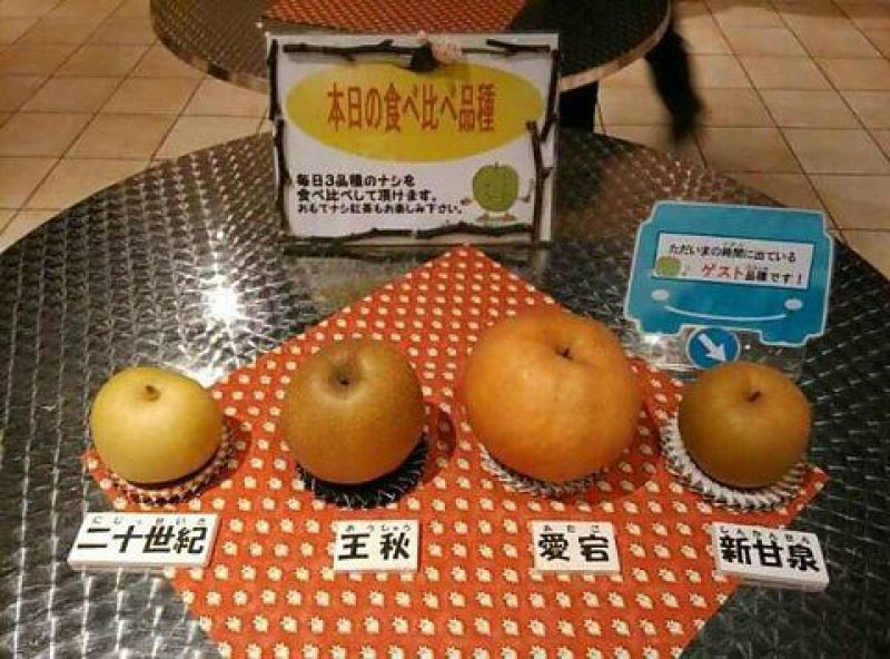 梨250~300g纸箱