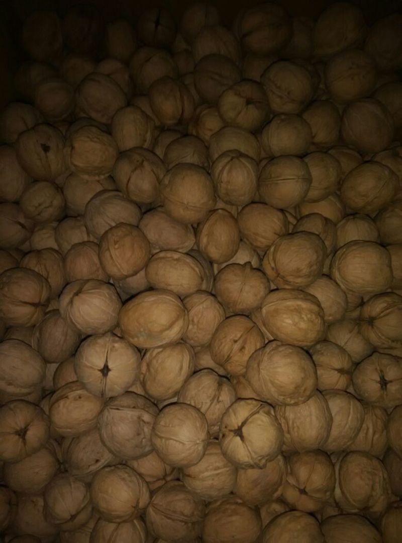 薄皮核桃30mm以上去皮