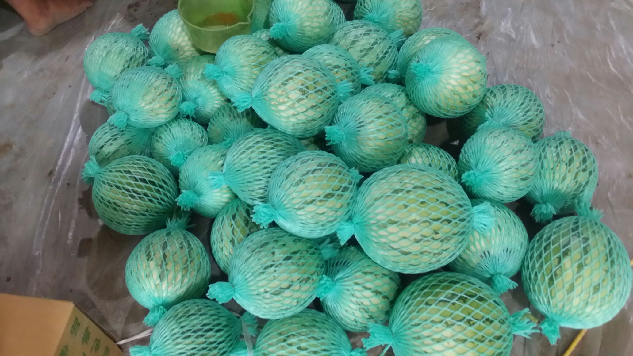 天津宝坻区麒麟西瓜 5斤打底 9成熟 2茬批发_邸