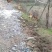 蜀中土鸡12月以上