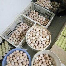 土鸡蛋食用50g以下