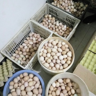 土鸡蛋食用50g以下
