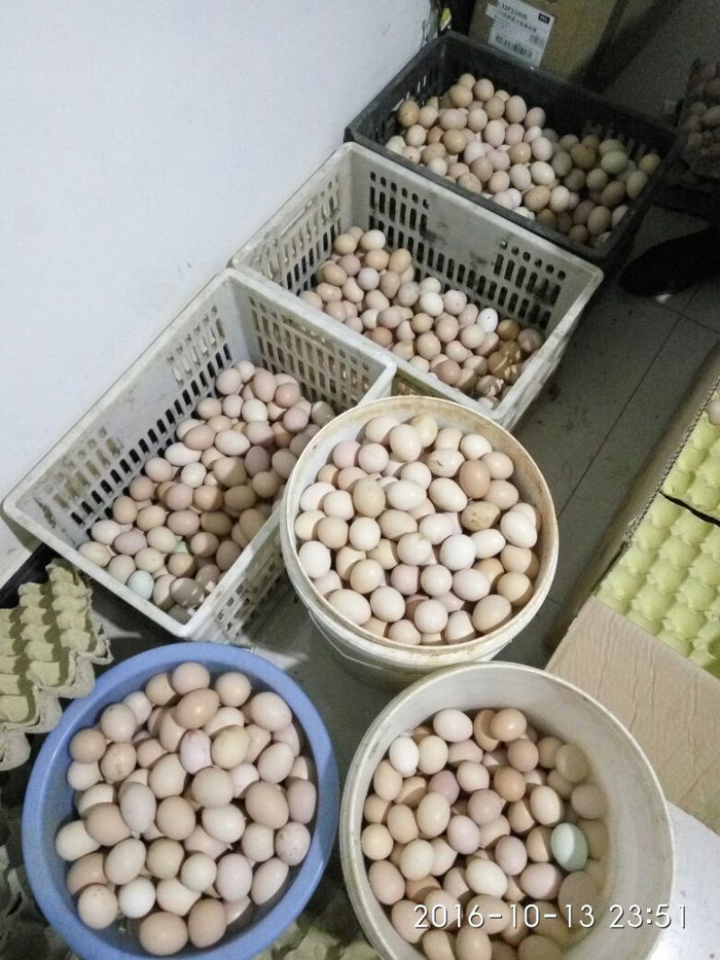土鸡蛋食用50g以下