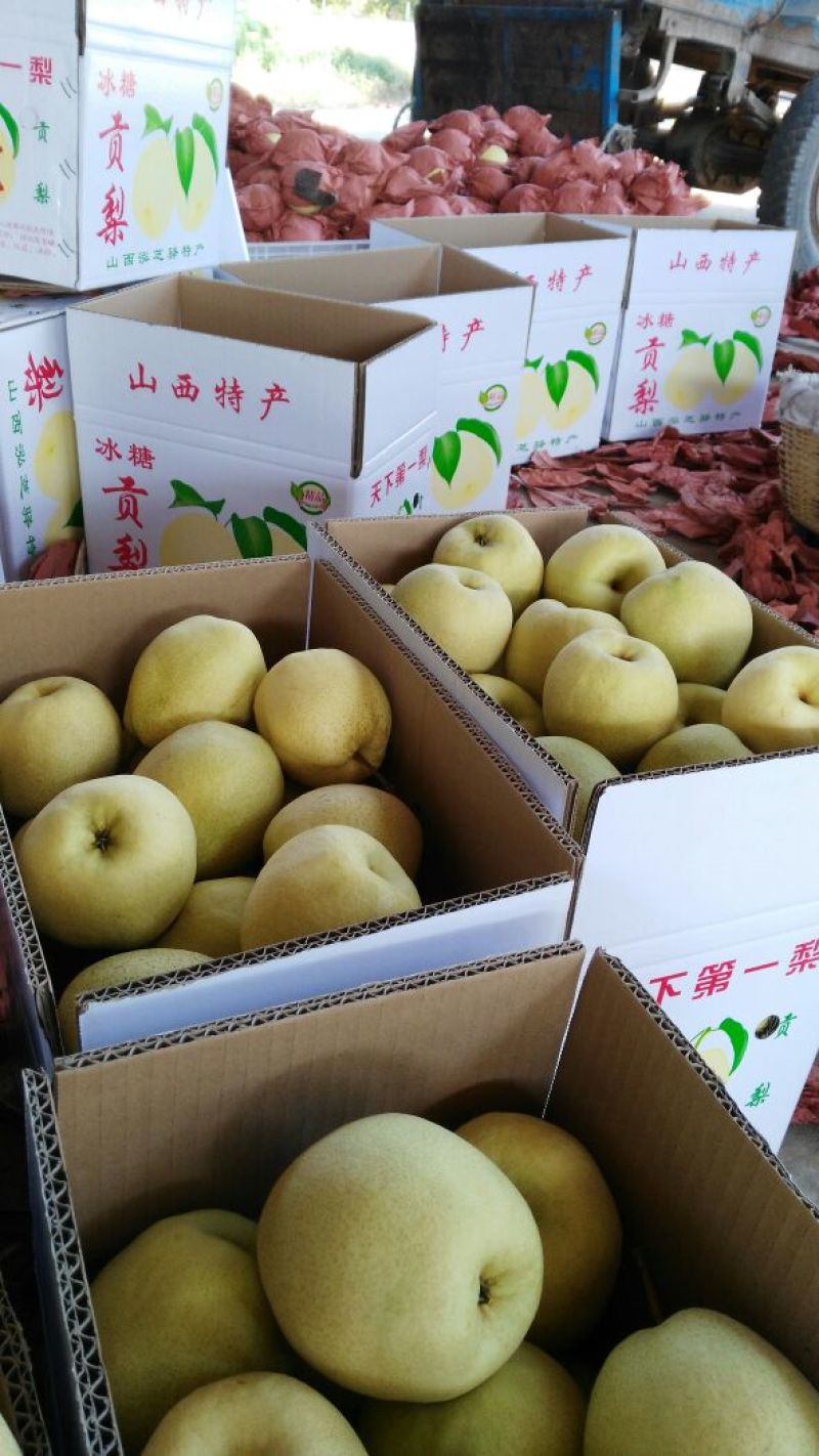 酥梨150~200g纸箱