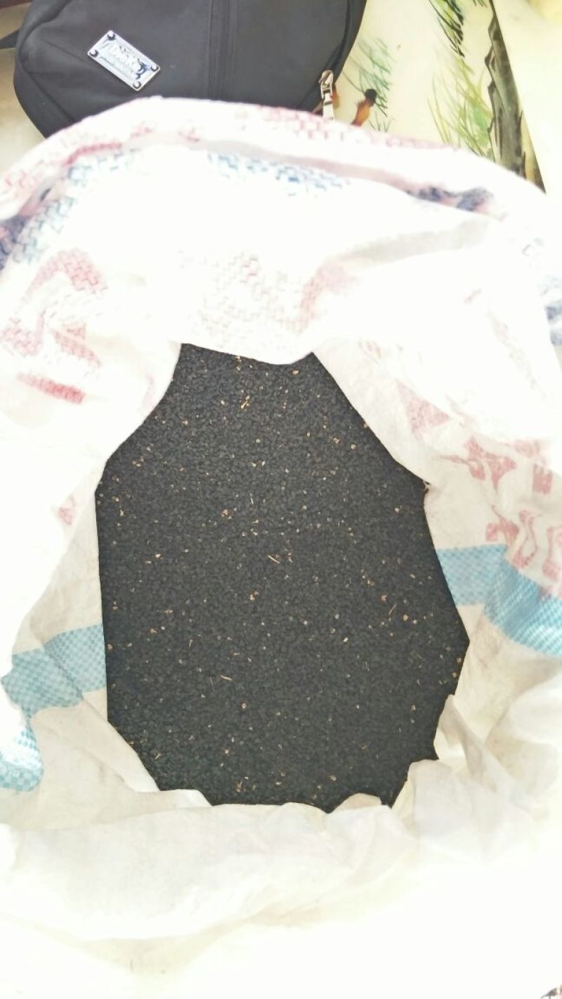 紫皮洋葱种子75%以上