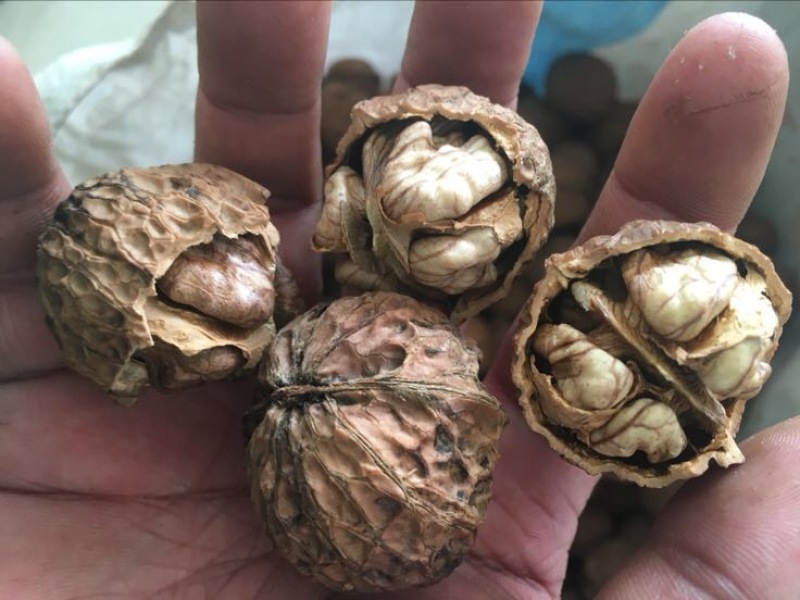 薄皮核桃30mm以上去皮干