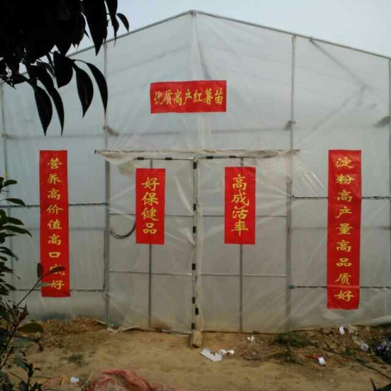 红薯淀粉