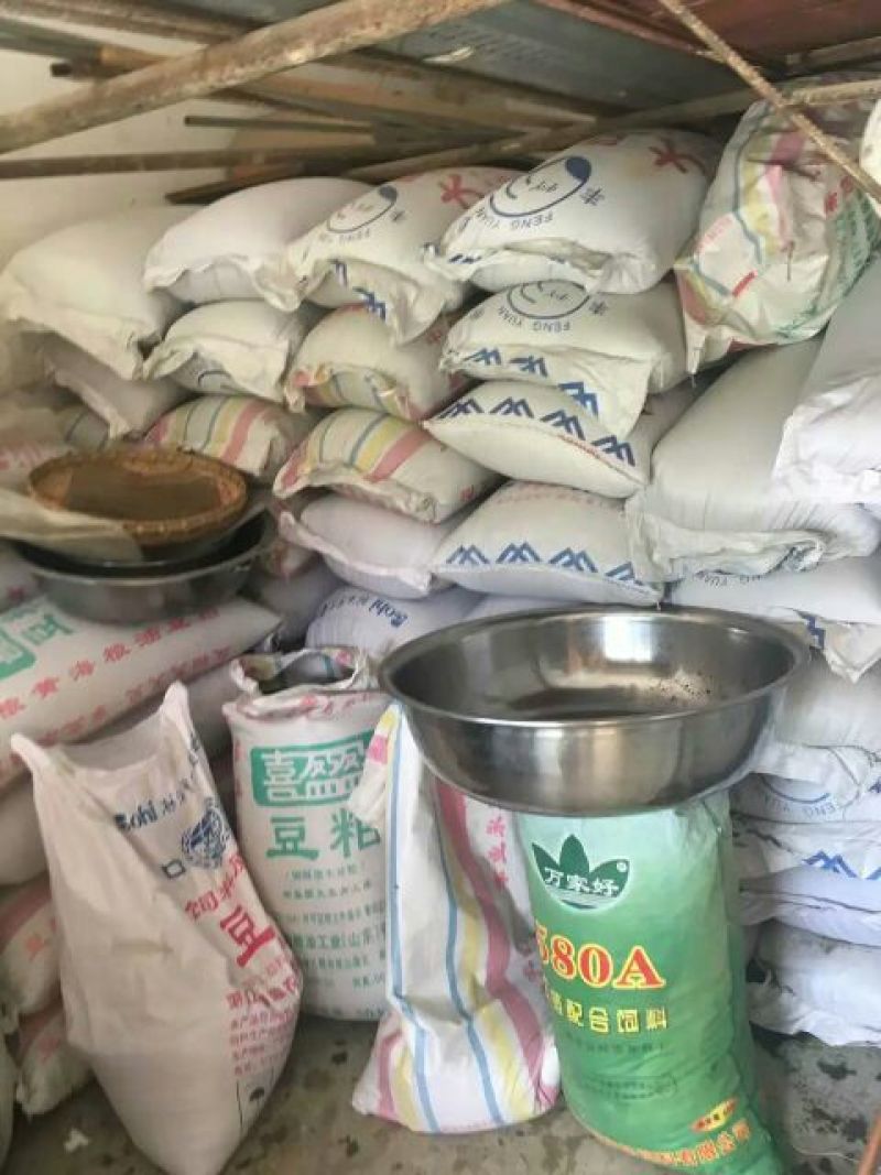 非转基因菜籽油一级