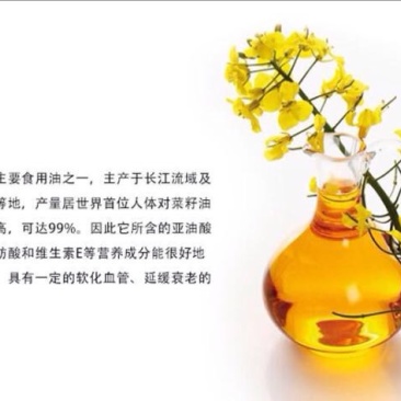 菜油一级